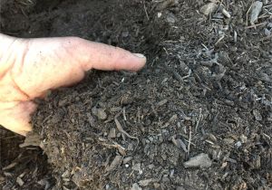Premium forest Floor Mulch Products soilutions
