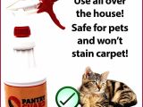 Prevent Cat From Scratching Furniture Luxury Diy Spray to Keep Cats Off Furniture Mllongisland Com