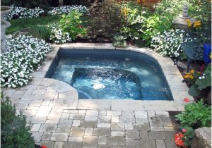 Price for Outdoor Bathtub Pools and Hot Tubs Traditional Pool by