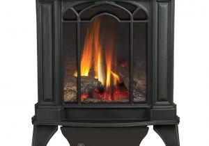 Propane Fireplace Insert Repair Amazon Com Arlington Direct Vent Cast Iron Gas Stove Color Black