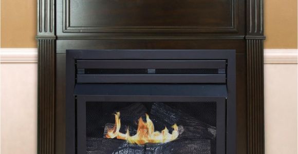 Propane Fireplace Repair Nanaimo Gas Fireplaces Fireplaces the Home Depot