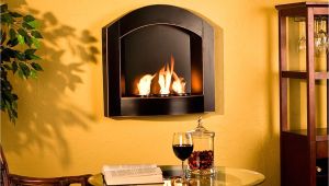 Propane Fireplace Repair Victoria Bc Small Wall Mounted Gas Fireplaces Fireplace Pinterest Gas