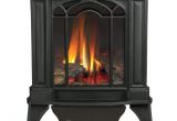 Propane Gas Fireplace Repair Amazon Com Arlington Direct Vent Cast Iron Gas Stove Color Black