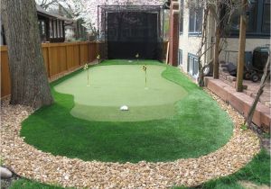 Putting Greens for Backyards Traditional Landscape Yard with Backyard Golf Cage Fence Dave Pelz