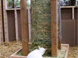 Pygmy Goat Hay Rack Square Bale Hay Feeder for Goats Misc Pinterest Goats Hay