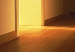 Quick Shine Floor Cleaner Laminate Laminate Floors are Reasonably Easy for A Diy Homeowner to Install