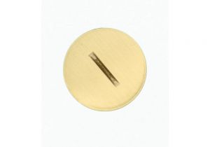 Raco Brass Floor Outlet Cover Leviton Replacement Screw Cap with O Ring for Duplex Outlet Floor
