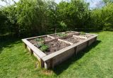 Raised Vegetable Garden Beds How to Build A Raised Garden Bed Planning Building and Planting