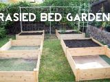 Raised Vegetable Garden Beds Raised Bed Gardening How to Start A Garden with Raised Beds Youtube