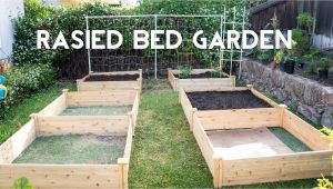 Raised Vegetable Garden Beds Raised Bed Gardening How to Start A Garden with Raised Beds Youtube