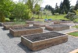 Raised Vegetable Garden Beds Raised Vegetable Garden Bed Tips and Benefits Landscaping and