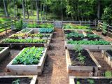 Raised Vegetable Garden Beds Three Key Benefits Of Gardening In Raised Beds Growing A Greener