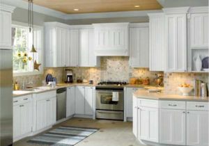 Range Hood Light Cover Black Backsplash Kitchen Kitchen Exclusive Kitchen Designs Alluring