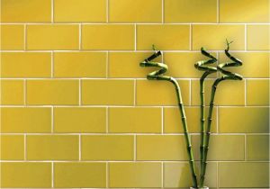 Raskin Flooring Nyc St James Smooth Gloss 200×100 Yellow Tiles Metro Smooth 200×100