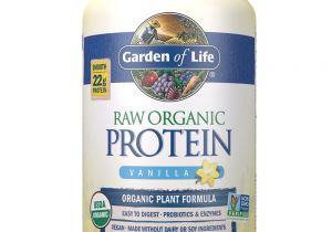 Raw Protein by Garden Of Life Amazon Com Garden Of Life organic Vegan Protein Powder with