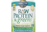 Raw Protein by Garden Of Life Garden Of Life Raw Protein Greens Lightly Sweetened 21oz Pharmaca