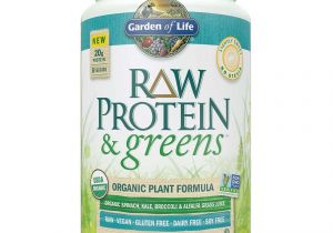 Raw Protein by Garden Of Life Garden Of Life Raw Protein Greens Lightly Sweetened 21oz Pharmaca