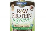 Raw Protein by Garden Of Life Raw Protein Greens Chocolate Cacao 22 Oz 611g