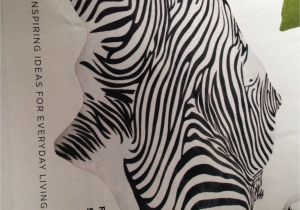 Real Zebra Fur Rug Jysk Zebra Rug Walls and More Pinterest Walls