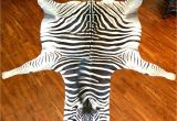 Real Zebra Rug Authentic Trophy Grade Real Zebra Hide