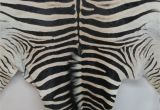Real Zebra Rug Price Www Lapco Co Nz Leather Suppliers Auckland New Zealand Genuine