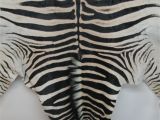 Real Zebra Rug Price Www Lapco Co Nz Leather Suppliers Auckland New Zealand Genuine