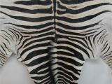 Real Zebra Rug Www Lapco Co Nz Leather Suppliers Auckland New Zealand Genuine