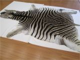 Real Zebra Skin Rug Uk 50 Elegant Zebra Cowhide Rug Pics 50 Photos Home Improvement