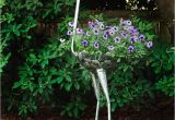 Recycled Metal Sculptures Garden Art Recycled Metal Ostrich Plant Holders Pinterest Plants Gardens