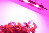 Red Arrow Lighting Cob Led Grow Light Full Spectrum 200w Waterproof Ip67 for Vegetable