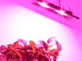 Red Arrow Lighting Cob Led Grow Light Full Spectrum 200w Waterproof Ip67 for Vegetable