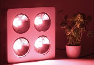 Red Arrow Lighting Newest Designed Full Spectrum 800w Cob Led Grow Light with Reflector