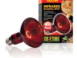 Red Heat Lamp for Chickens Amazon Com Exo Terra Heat Glo Infrared Spot Lamp 150 Watt 120