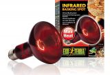 Red Heat Lamp for Dogs Amazon Com Exo Terra Heat Glo Infrared Spot Lamp 150 Watt 120