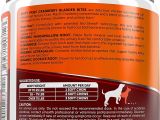 Red Heat Lamp for Dogs Zesty Paws Cranberry Bladder Bites Urinary Tract Support Chews for