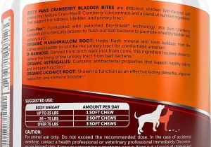 Red Heat Lamp for Dogs Zesty Paws Cranberry Bladder Bites Urinary Tract Support Chews for