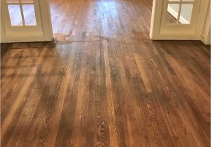 Red Oak Wood Floors Stained Gray Adventures In Staining My Red Oak Hardwood Floors Products Process