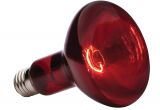 Red or White Heat Lamp for Chickens Amazon Com Exo Terra Heat Glo Infrared Spot Lamp 150 Watt 120