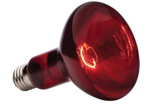 Red or White Heat Lamp for Chickens Amazon Com Exo Terra Heat Glo Infrared Spot Lamp 150 Watt 120