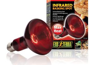Red or White Heat Lamp for Chickens Amazon Com Exo Terra Heat Glo Infrared Spot Lamp 150 Watt 120