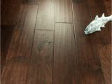 Removing Glue Residue From Hardwood Floors Chaparral Hardwood Collection by Hallmark Floors