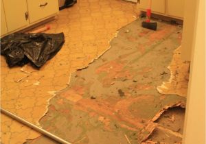 Removing Old Carpet Glue From Hardwood Floors Removing Linoleum Scraping Up Linoleum Restoring Wood Floors