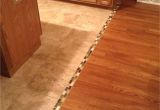 Removing Tile Glue From Hardwood Floors Transition Between Hardwood and Tile Floor We Should Do This