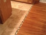 Removing Tile Glue From Hardwood Floors Transition Between Hardwood and Tile Floor We Should Do This