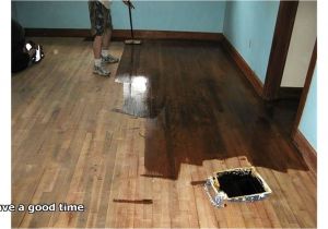 Renew Hardwood Floors without Sanding Refinishing Hardwoodrs Yourself Easy Nj Fix without Sanding that