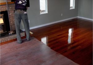 Renew Hardwood Floors without Sanding Will Refinishingod Floors Pet Stains Old without Sanding Wood with