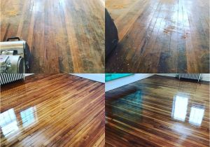 Renew Hardwood Floors without Sanding Winsome Refinishing Hardwood Floors Edmonton Will Pet Stains without