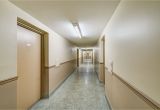 Rent Heat Lamps toronto Wilson Apartments toronto toronto Apartments Compten