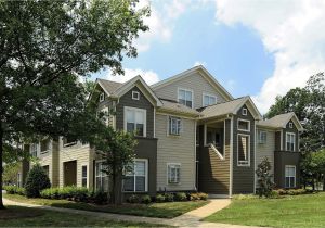 Rental Homes In Charlotte Nc the Arboretum Apartments for Rent