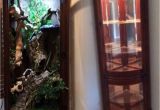 Reptile Rack System Uk Reptile Furniture Cage Curio Cabinet This Would Be Great for A